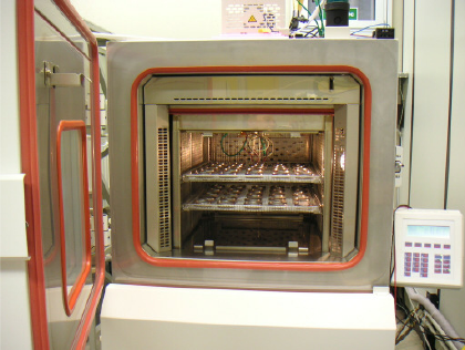 Thermal cycling test chamber