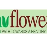 india-pharmaceuticals-cl-17